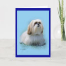 Search for lhasa cards Apso