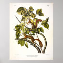Search for hudson bay posters Colour