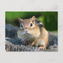 Search for cheeks postcards Cute