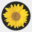 Search for flower petals stickers Sunflowers