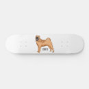 Search for dog skateboards Pet