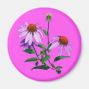 Search for colorful magnets Purple