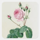 Search for redoute stickers Joseph