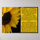 Search for 19th amendment posters Suffragette