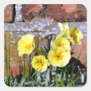 Search for common square stickers Flower