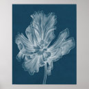 Search for tulipe posters Flowers