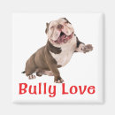 Search for bullis magnets Bulldog