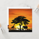 Search for life is beautiful cards Landscape