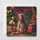 Search for funny australian christmas cards Kangaroo