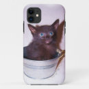 Search for kittens iphone cases For kids