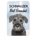 Search for schnauzers magnets Pets
