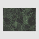 Search for sea shells tissue paper Ocean