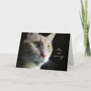 Search for cat pet sympathy cards Loss of a cat
