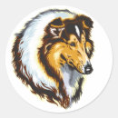 Search for rough collie stickers Purebred
