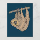 Search for upside postcards Sloth