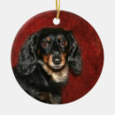 Search for long haired dachshund christmas tree decorations Animal