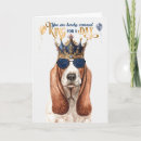 Search for basset hound birthday cards Pets