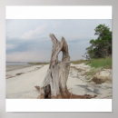 Search for jekyll art Ocean
