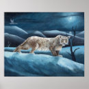 Search for snow leopard posters Cold