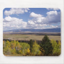 Search for jacksons mouse mats Wyoming