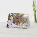 Search for i adore you cards Funny