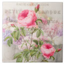 Search for 6x6 postcards Pink
