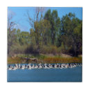 Search for pelican tiles Fishing