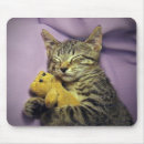 Search for sleeping baby mouse mats Cat