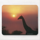 Search for cut out mouse mats Horizontal