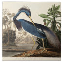Search for heron tiles John james audubon