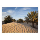 Search for douz Palm tree