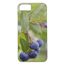 Search for blueberries iphone cases Nature