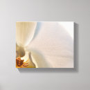 Search for white flower canvas prints Botanical