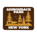 Search for adirondacks magnets New york