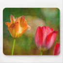 Search for danita delimont mouse mats Close up