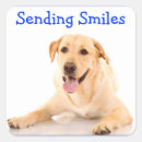 Search for smiling dog stickers Puppy