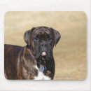 Search for brindle mouse mats Standing