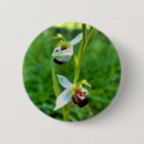 Search for green bee badges Nature
