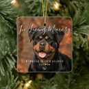 Search for holiday pet memorial ornaments Dog cat animal horse