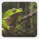 Search for bicolor stickers Iwokrama reserve