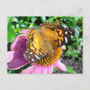 Search for butterfly postcards Park