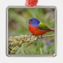 Search for wild one christmas tree decorations Usa