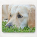 Search for pup mouse mats Pet