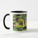 Search for central america mugs Toucan