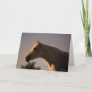 Search for backlit cards Arab