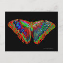 Search for black designs postcards Nature