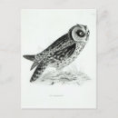 Search for galapagos islands postcards Nature