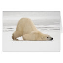 Search for hudson bay postcards Danita delimont