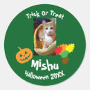 Search for ginger cat stickers Halloween