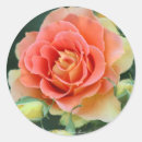 Search for brass band stickers Rose